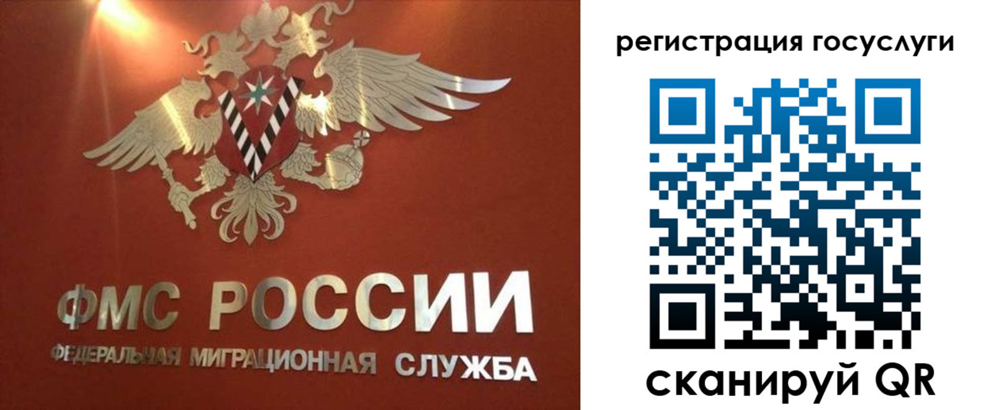 прописка ребенка в Зеленогорске